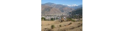 யமுனோத்ரி